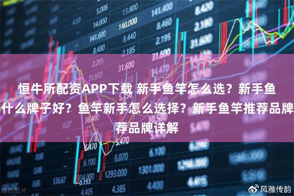 恒牛所配资APP下载 新手鱼竿怎么选？新手鱼竿买什么牌子好？鱼竿新手怎么选择？新手鱼竿推荐品牌详解