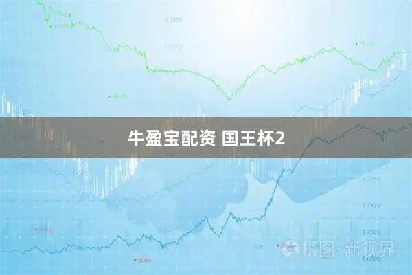 牛盈宝配资 国王杯2