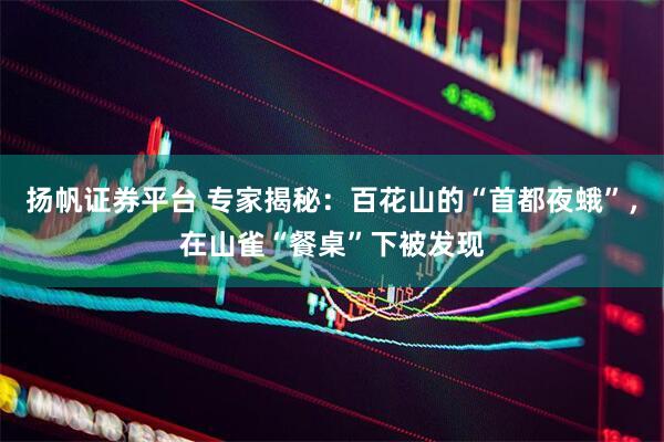 扬帆证券平台 专家揭秘：百花山的“首都夜蛾”，在山雀“餐桌”下被发现
