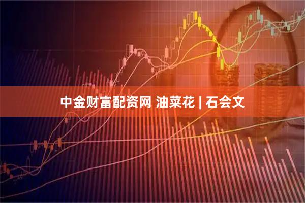 中金财富配资网 油菜花 | 石会文